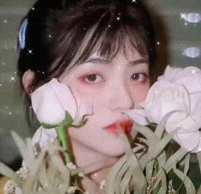 敌后便衣队传奇